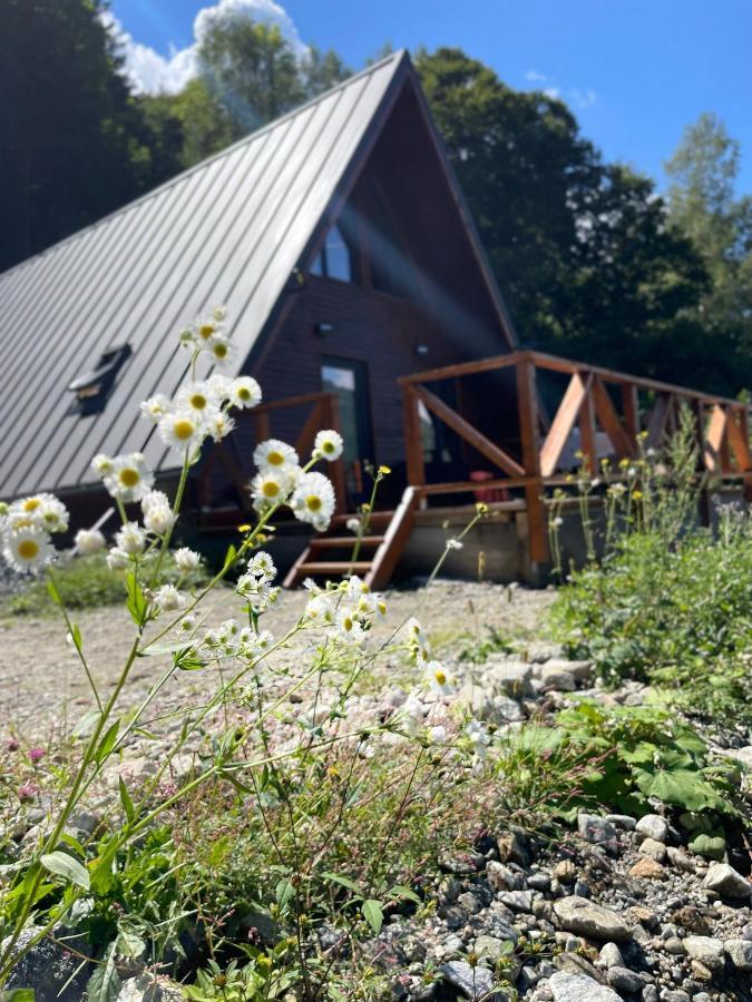 מאלאיה Wild Cabin מראה חיצוני תמונה